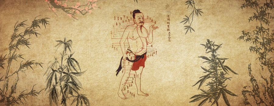 Philosophy of Traditional Chinese Medicine